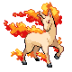 Gallopa Gallopa