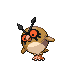 Hoothoot Hoothoot
