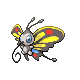 Papinella Papinella