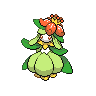 Dressella Dressella