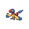 Flapteryx Flapteryx