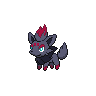 Zorua Zorua