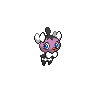 Mollimorba Mollimorba