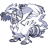 Reshiram Reshiram