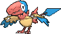 Flapteryx Flapteryx