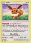 101 Evoli