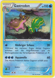 Dampfkessel 29/114 Gastrodon