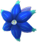 Lumiflora