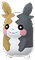 Morpeko