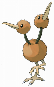 Dodu