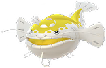 Heerashai