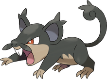 Alola-Rattfratz
