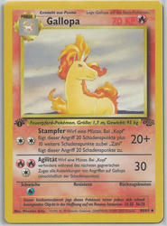 Dschungel 44/64 Gallopa