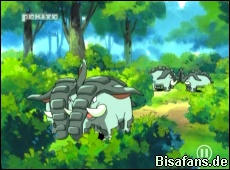 Screenshot von Donphan