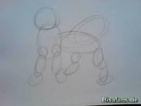 Zeichenkurs Entei - Schritt 1