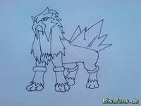 Zeichenkurs Entei - Schritt 4