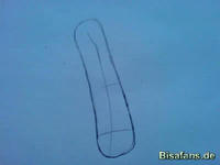 Zeichenkurs Mogelbaum - Schritt 2