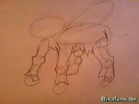 Zeichenkurs Raikou - Schritt 2