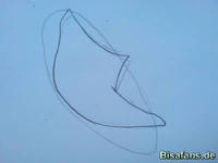 Zeichenkurs Safcon - Schritt 2