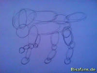 Zeichenkurs Suicune - Schritt 1