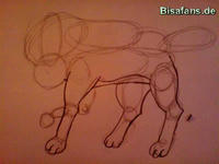 Zeichenkurs Suicune - Schritt 2