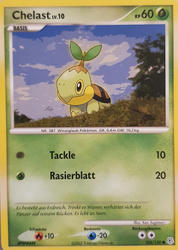 Diamant & Perl 103/130 Chelast