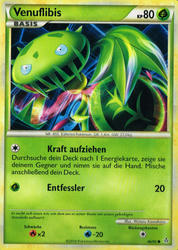 Entfesselt 46/95 Venuflibis