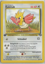 Dschungel 62/64 Habitak