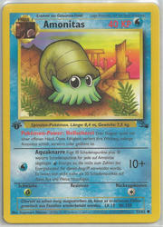 Fossil 52/62 Amonitas