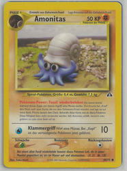 Neo Entdeckung 60/75 Amonitas