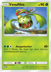 Kollision von Raum und Zeit 019/155 Venuflibis