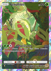 Kollision von Raum und Zeit 158/155 Venuflibis