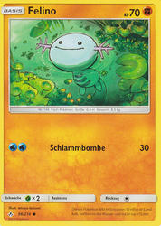 Kräfte im Einklang 96/214 Felino