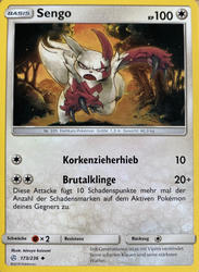 Welten im Wandel 173/236 Sengo
