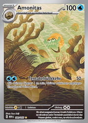 151 180/165 Amonitas