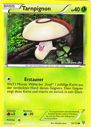 Plasma-Sturm 12/135 Tarnpignon