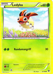 XY-Basisset 6/146 Ledyba
