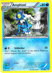 XY-Basisset 40/146 Amphizel