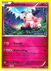 XY-Basisset 91/146 Pantimos