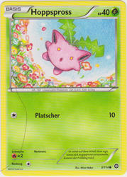 Dampfkessel 3/114 Hoppspross