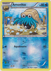 Flammenmeer 17/124 Amonitas