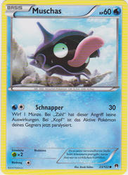 TURBOfieber 23/122 Muschas