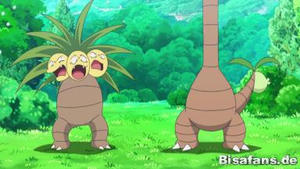 Screenshot von Kokowei