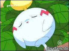 Screenshot von Palimpalim