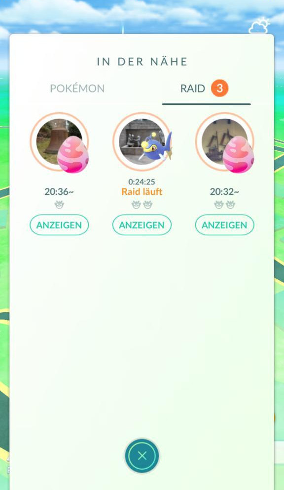 Raids Raids