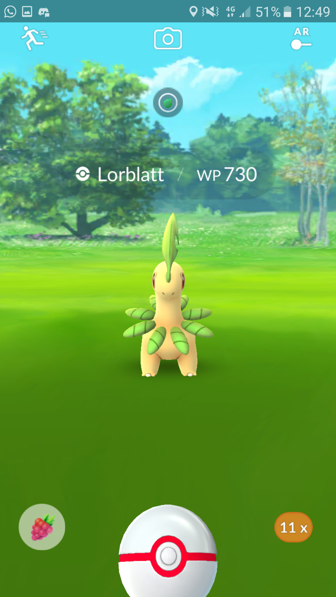 Raids Raids