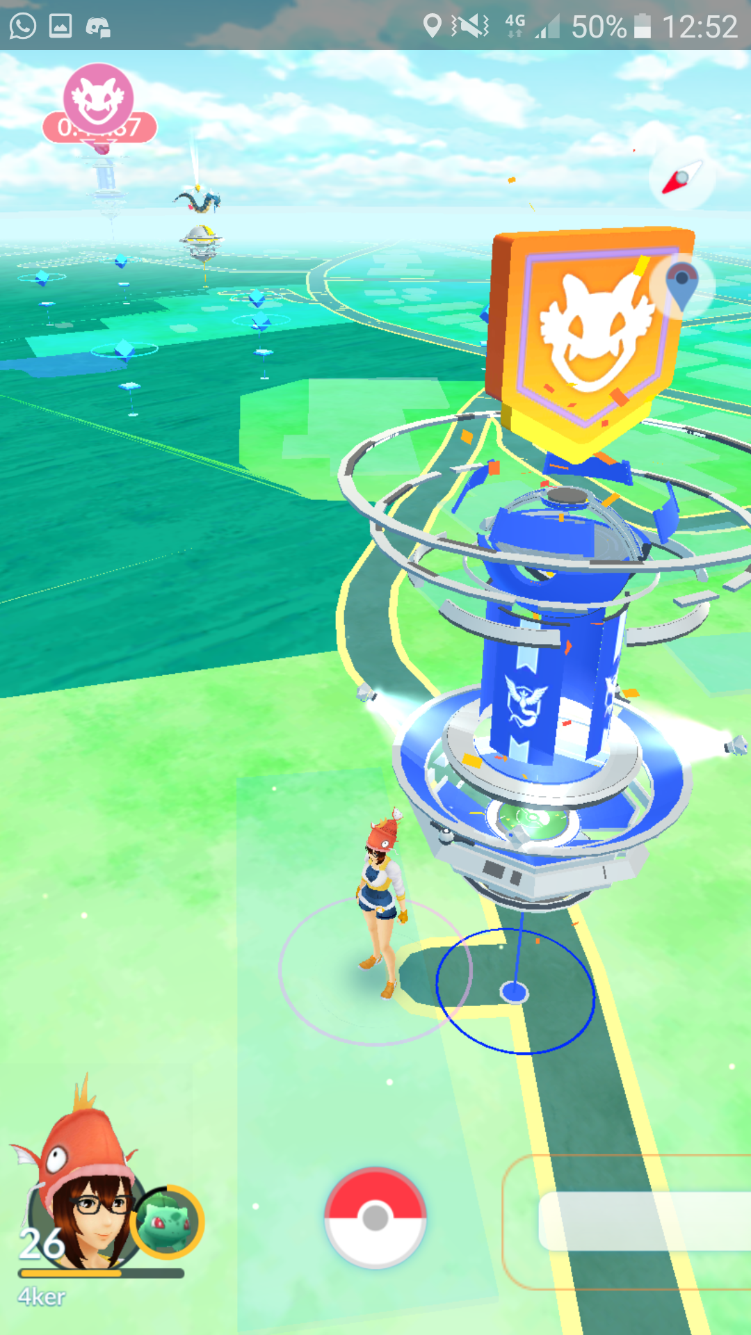 Raids Raids