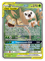 Bund der Gleichgesinnten 1/236 Bauz & Alola-Kokowei TAG TEAM GX
