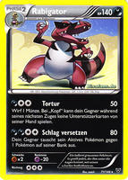 XY-Basisset 71/146 Rabigator