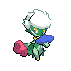 Roserade Roserade